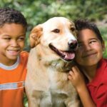 images (4)